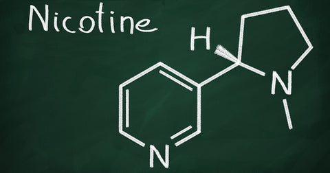 Tobacco Free Nicotine (TFN) Review