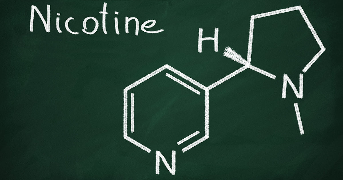 Tobacco Free Nicotine (TFN) Review