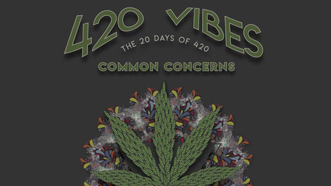 Xhale City’s The 20 Days of 420: Common Concerns About CBD