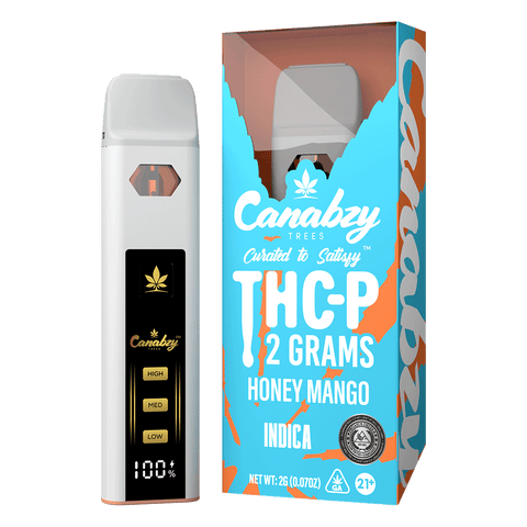 Canabzy THC-P Disposable 2gm