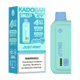 Kado Bar Snap Icy 5% 25K Puffs Disposable Pod (Addon Battery Not Included)